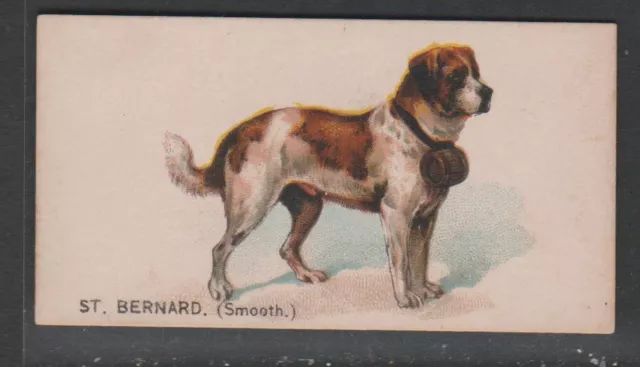 CIGARETTE CARDS Goodwin 1890 Dogs of the World - #41 St Bernard (smooth)