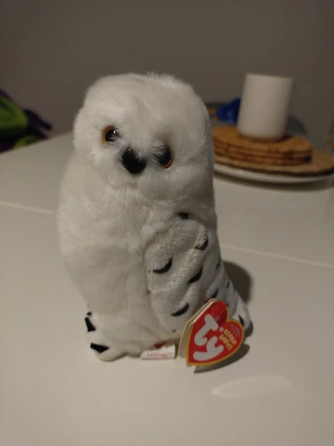 TY BEANIE BABIES knOWLedge the Snowy White Owl (Borders