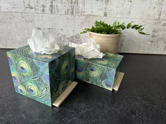 Tissue Box Cover. peacock feathers (square/long)