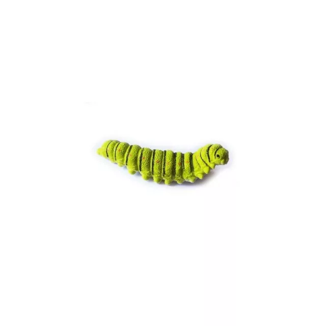 Geocahing geocache Petit Ver avec Nano Micro Géocache Cache Insecte