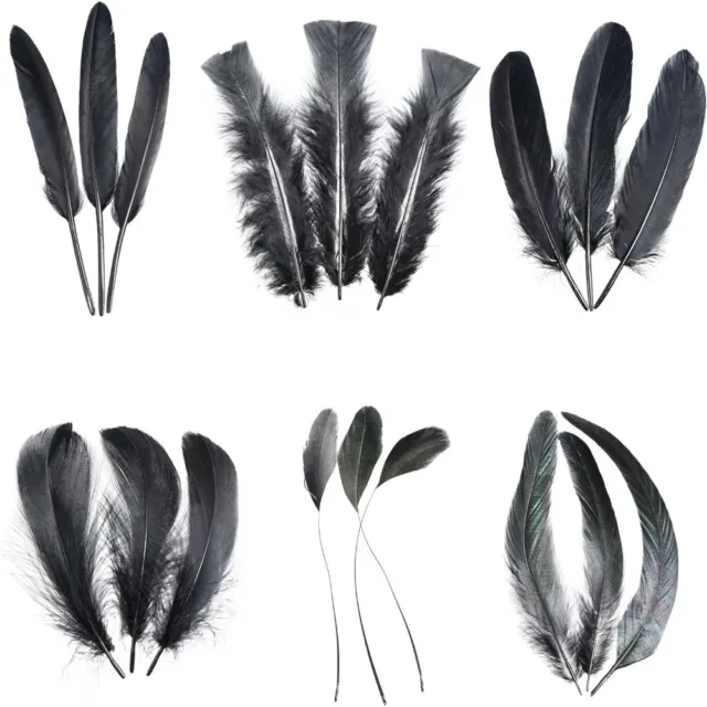 20 Pcs Natural Black Ostrich Feathers Plumes 8-10 Inch(20-25 Cm) Bulk For  Wedding Party, Easter, Gat
