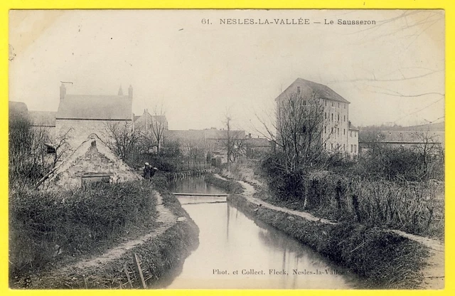 cpa 95 - NESLES la VALLEY (Val d'Oise) Le SAUSSERON passerelle towpaths