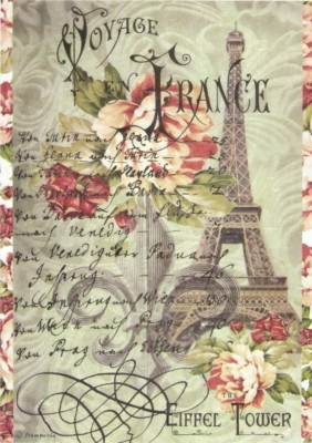 Carta di riso per Decoupage Scrapbook Craft BOOK CAT 790 