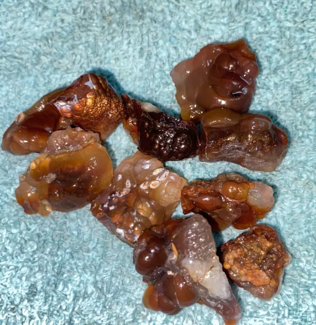 1 Oz Over 150ct. Fire Agate Rough For Cabochon Cab From Eastern Arizona COLOR!!