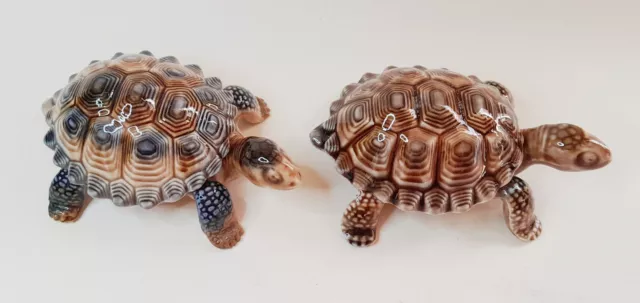 2 vtg Wade tortoise trinket boxes porcelain L4in 10.2cm c1960s