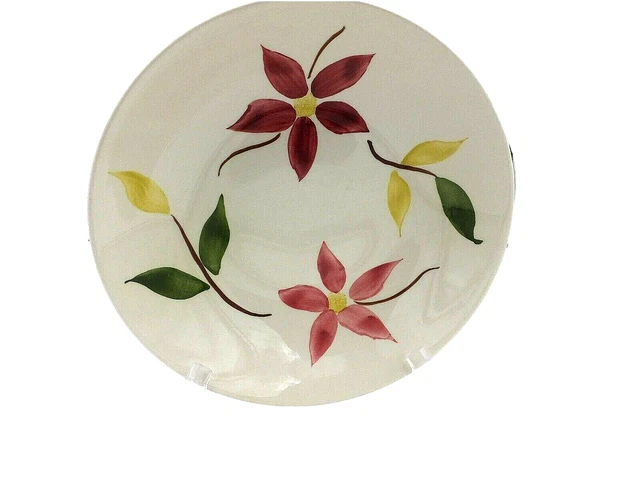 Del Coronado USA Dinnerware Hand Painted Shallow Serving Bowl 9 Inches