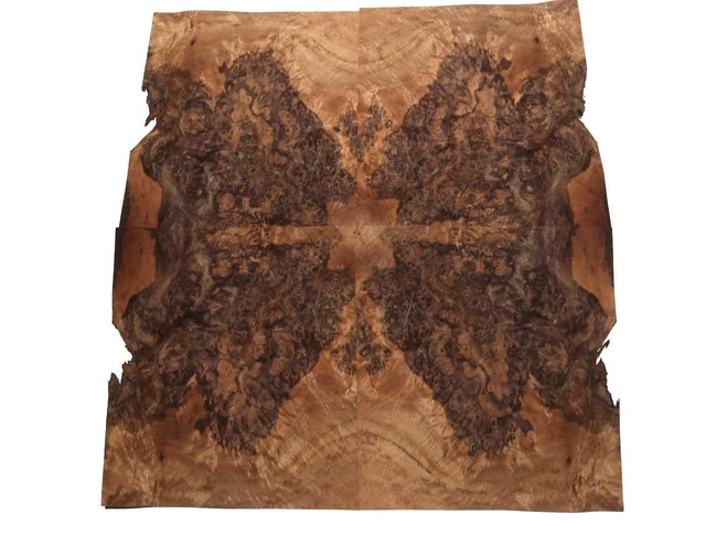 Nogal Madera de Raíz Chapa de Madera Veta X 25x22-24cm 20 Hojas