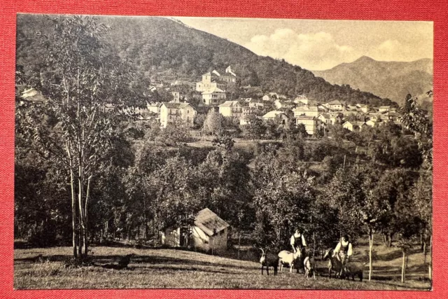 Cartolina - Quarna Sopra ( Lago d'Orta ) - 1920 ca.