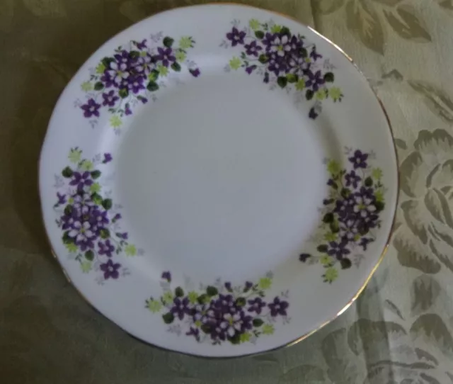 Lovely Vintage Queen Anne England Bone China Side Plate *Pretty Violets