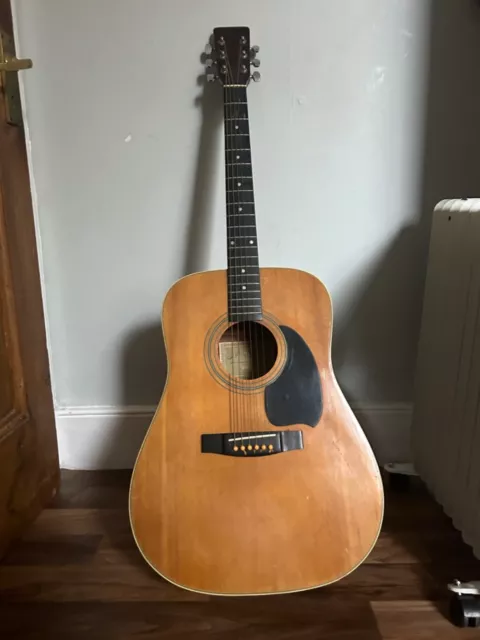 Hohner arbor series clearance acoustic guitar
