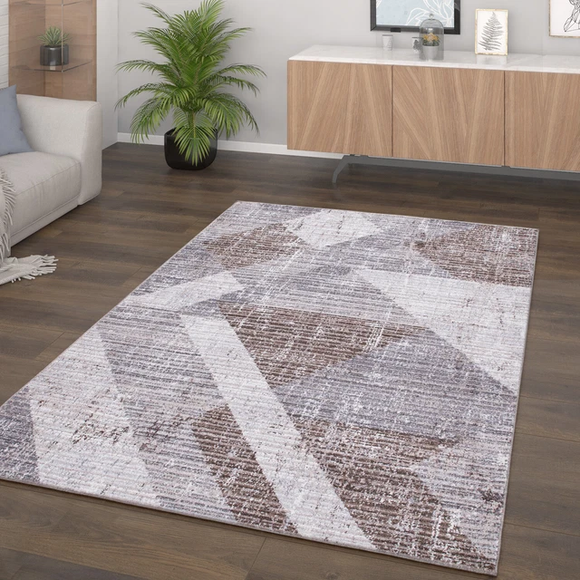 Tapis De Salon Poils Ras Motif Géométrique Vintage