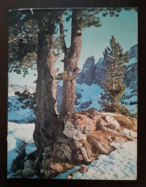 FRIENDS OF THE EARTH Hytone Portfolio Vintage Mead Folder+4 full color posters