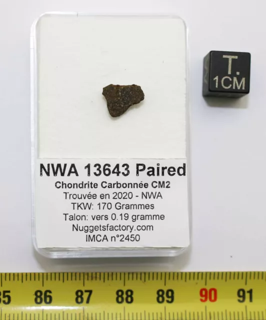 Talon de Météorite NWA 13643 Chondrite Carbonée CM2  ( 0.19 grs - 001 * )