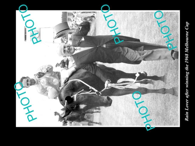 Old Large Horse Racing Photo Of Rain Lover Winning The 1968 Melbourne Cup