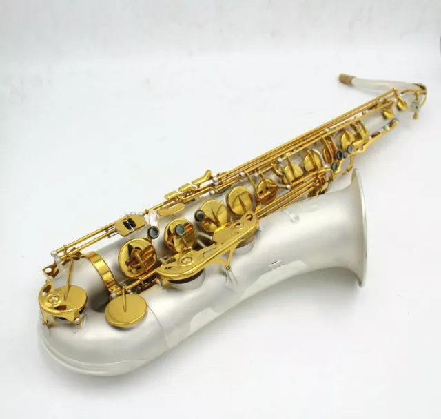 Eastern Music B flat pro use satin silver plated gold key tenor saxophone