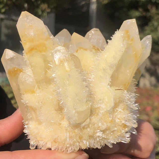 1.41LB  New Find yellow Phantom Quartz Crystal Cluster Mineral Specimen Healing