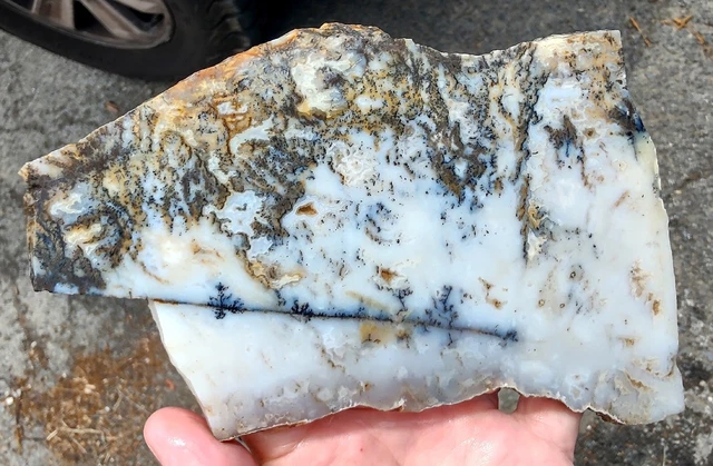 rawk11: Sheeps Creek Plume Agate slab-Beautiful inclusions-Oregon!