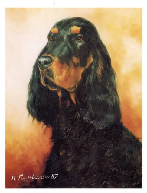New Gordon Setter Head Study Notecard Set - 12 Note Cards By Ruth Maystead SEG-2