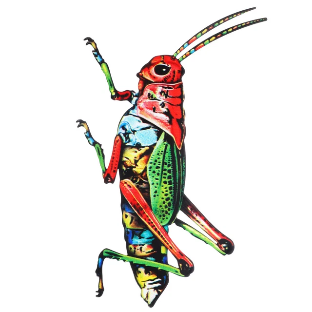 Wrought Iron Insect Pendant Wall-mounted Wall Hooks Decorative