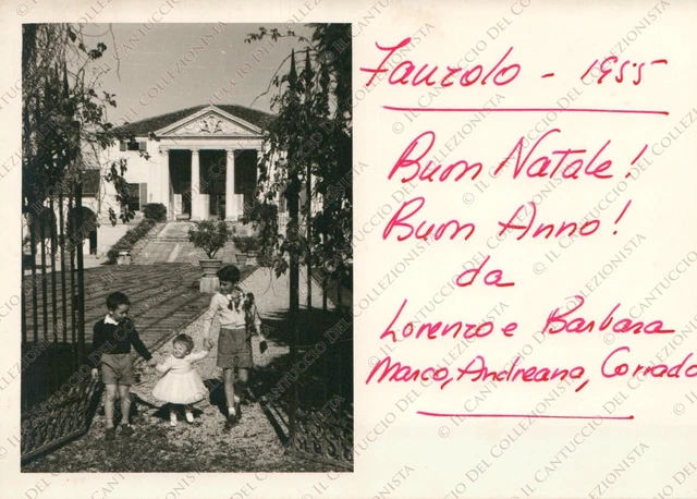1955 FANZOLO Vedelago Villa Emo Andrea Palladio Treviso Fotografia