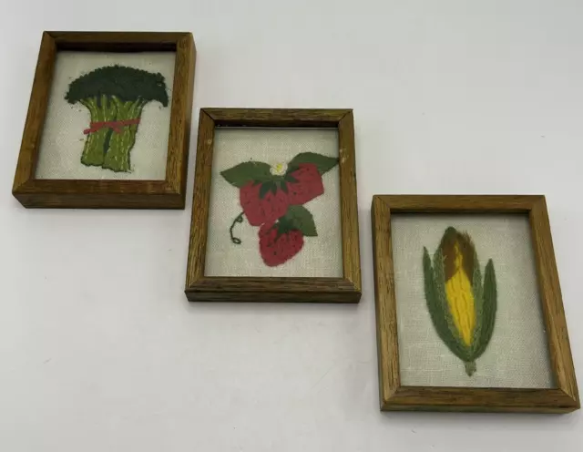 Juego de Colección de 3 Crewel Aguja Completado Vegetales Boho Años 70 Enmarcados Lectura