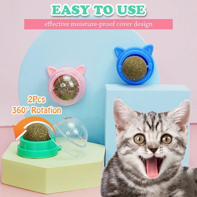 Bolas de hierba gatera interactivas giratorias giratorias saludables para gatos como nuevas para limpieza dental