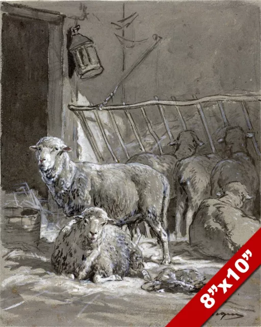 Sheep In A Manger Watercolor & Chalk Painting Art Real Canvas Giclee Print