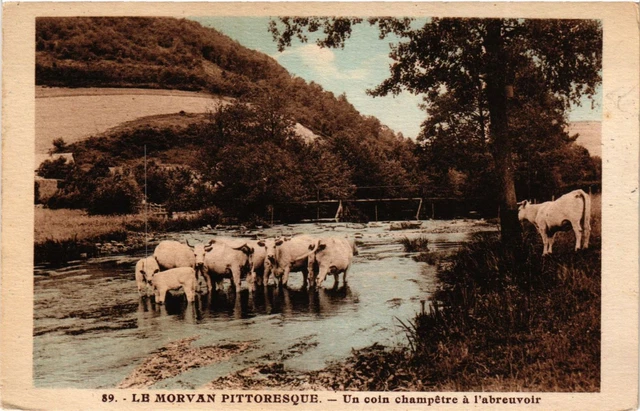 CPA Le MORVAN Pittoresque-Un coin champetre a l'abreuvoir (421105)