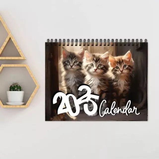 CUTE PET 2025 Cat Calendar Easy Planning 2025 Monthly Planner Gift EUR
