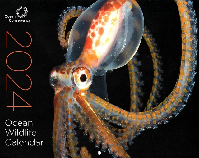 2024 OCEAN CONSERVANCY Ocean Wildlife Wall Calendar 9.00 PicClick