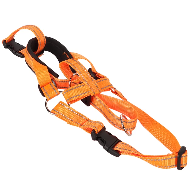 Supporto testa cane muso controllo anteriore design arancione regolabile collare testa cane