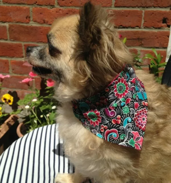 Bandana réversible, glisse sur collier. Points floraux/polka.