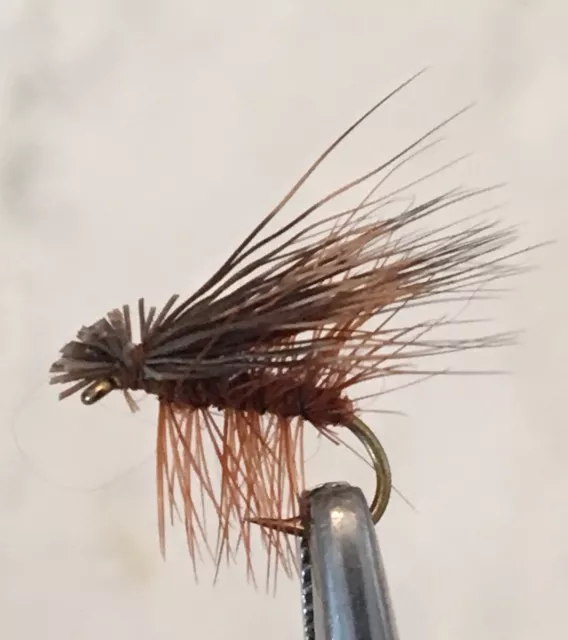 Elk Hair Caddis - Dry Fly Fishing Flies - 6 X Size #12 Flies