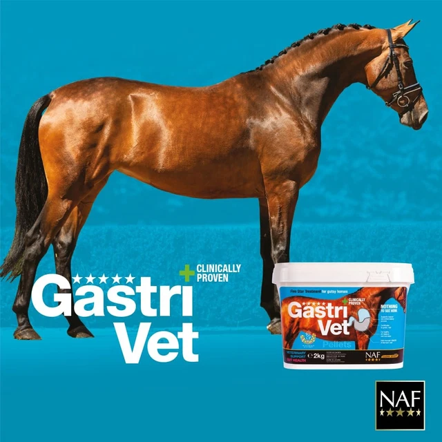 HORSE STOMACH SUPPORT Advanced GastriVet 4kg Stomach Ulcer Treatment ...