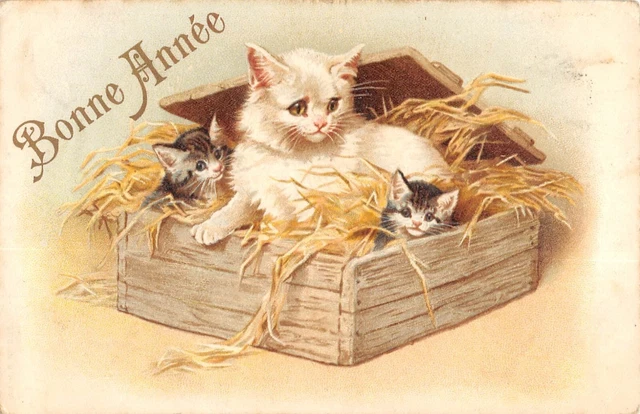 CPA Ancienne – Fantaisie Avec 3 Chats, Illustrateur, Bonne Année, Années 1900
