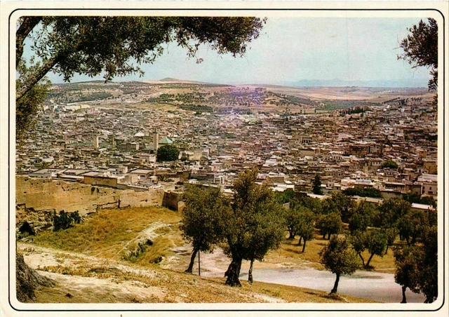 CPM AK Fez- vue generale MAROC (880441)