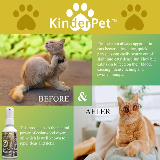 View of ECO CAT FLEA Treatment Tick Lice Mite Control Spray Kill Fleas And Eggs ...