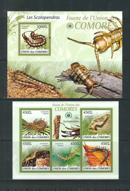 Comoro Islands / 2009 issue . Centipedes . MNH