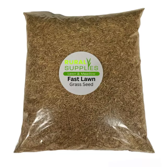 Grass Seed Fast Growing Lawn | RAPID QUICK GROWTH | NEW LAWNS OR PATCH & REPAIR