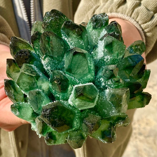 1.93LB New Find Green Phantom Quartz Crystal Cluster Mineral Specimen Healing