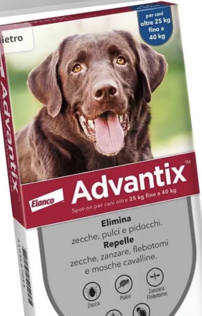 ADVANTIX ® Spot-on antiparassitario per Cani da 25 kg a 40 Kg, 4 pipette