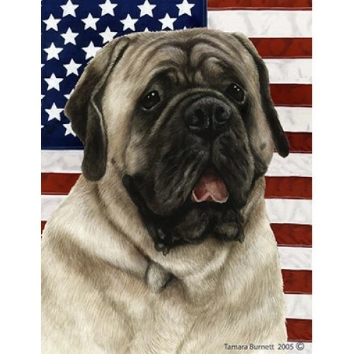 Patriotic (D2) Garden Flag - Silver Mastiff 322771