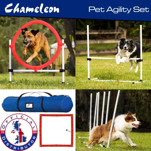 Dog Pet Agility Set JUMP WEAVE HOOP SLALOM Training Equipment  Starter Course