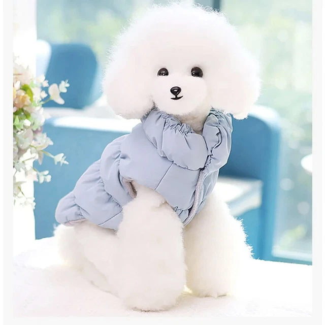 French bulldog winter coat uk top