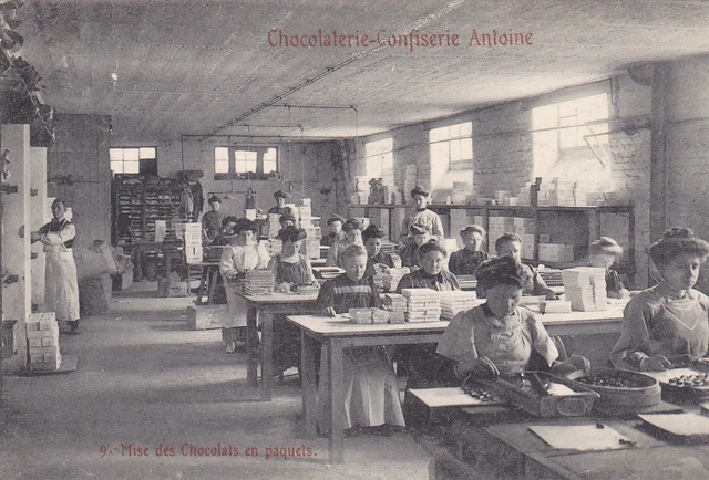 CHOCOLATERIE CONFISERIE ANTOINE - PACKING CHOCOLATES, BELGIUM (ref 3525/20/5)