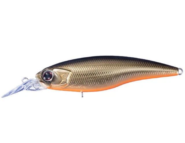 Il Persico Reale - Scopriamo Chi è E Come Si Pesca Il Persico - Pesca Facile - Foto 6