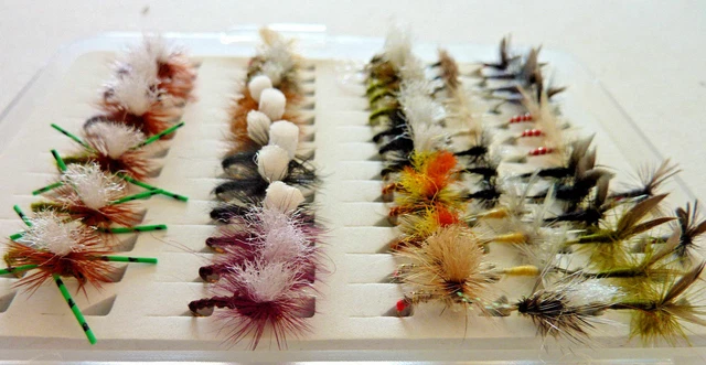 Mouches noyées pour la truite de mer