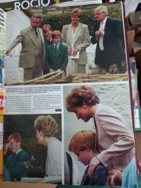 clipping h 2570 lady di diana of wales