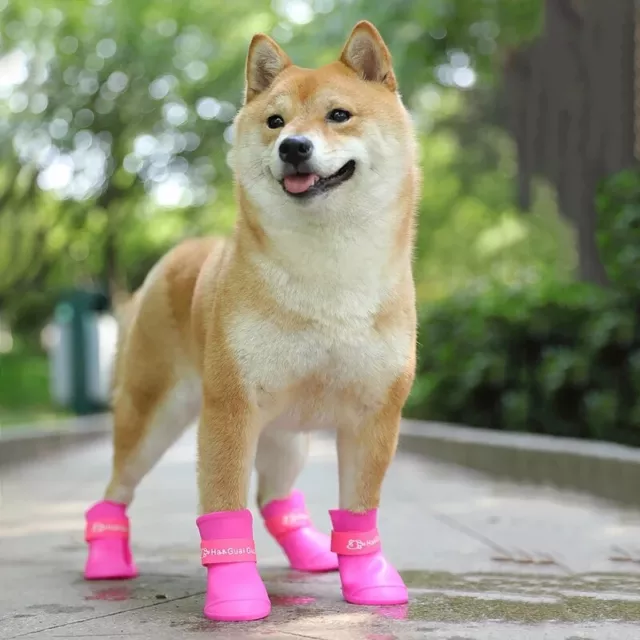 Botas Impermeables Antideslizantes De Goma Para Mascotas En dias De Lluvia