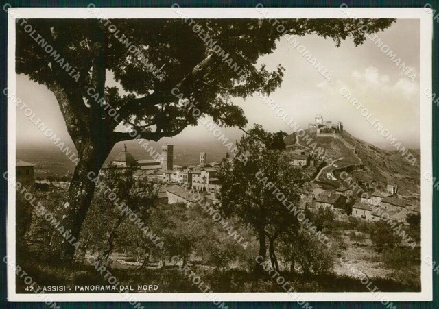 Perugia Assisi ABRASA Foto FG cartolina KV7101